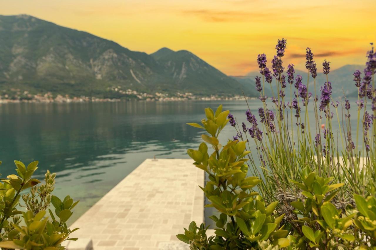 D&v * Kotor